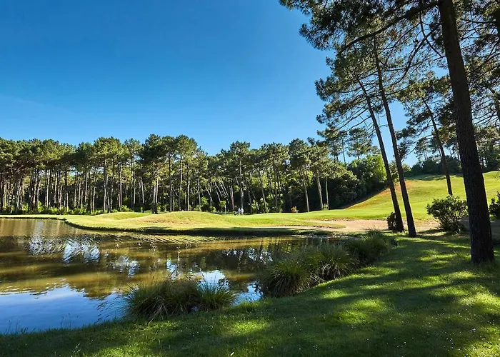 Piscine Pour 8 A Lacanau